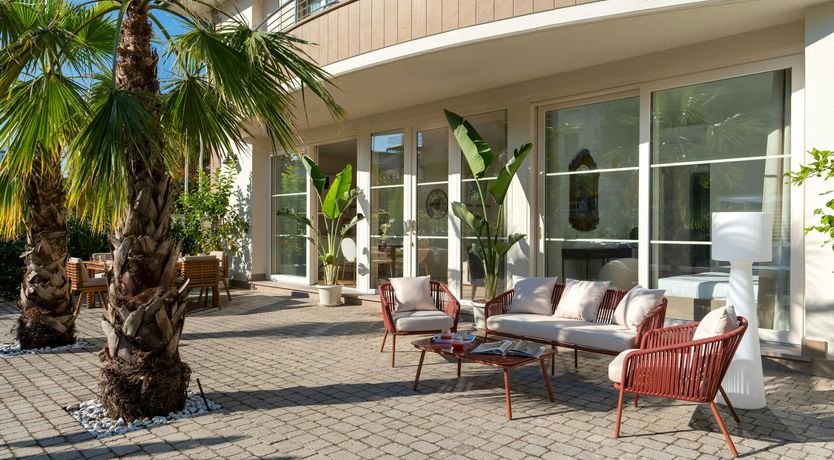 Photo of Tropical Palms