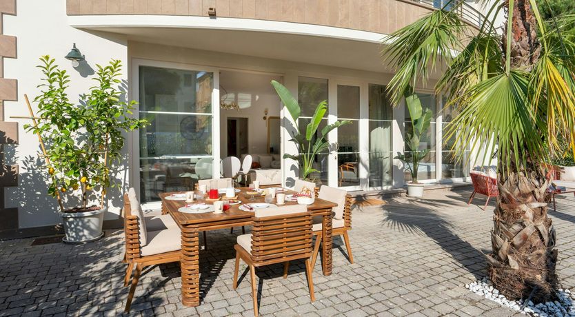 Photo of Tropical Palms