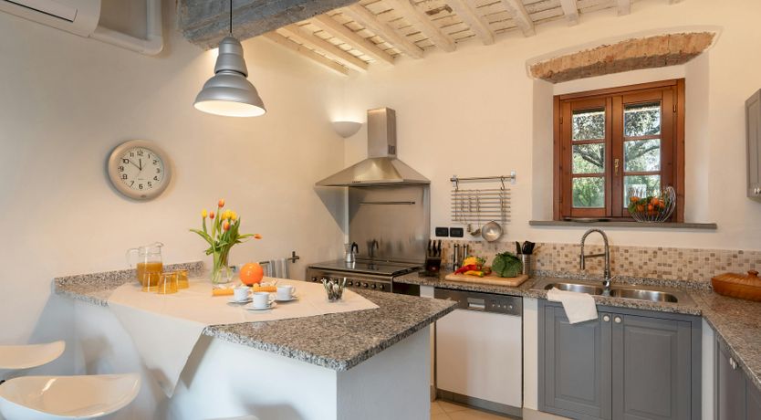 Photo of The Dream Light