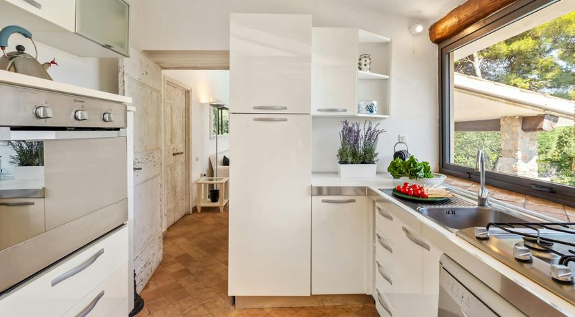 Photo of Pink Terracotta