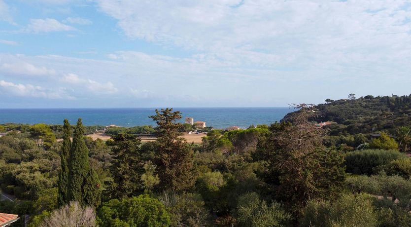 Photo of Pink Terracotta