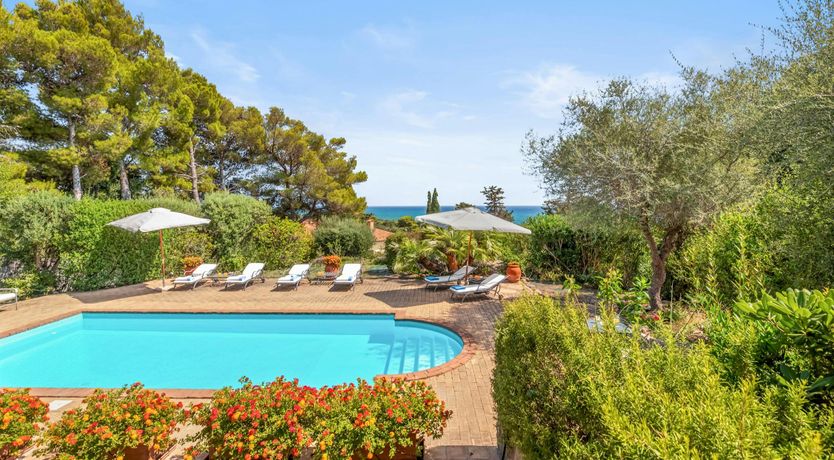 Photo of Pink Terracotta