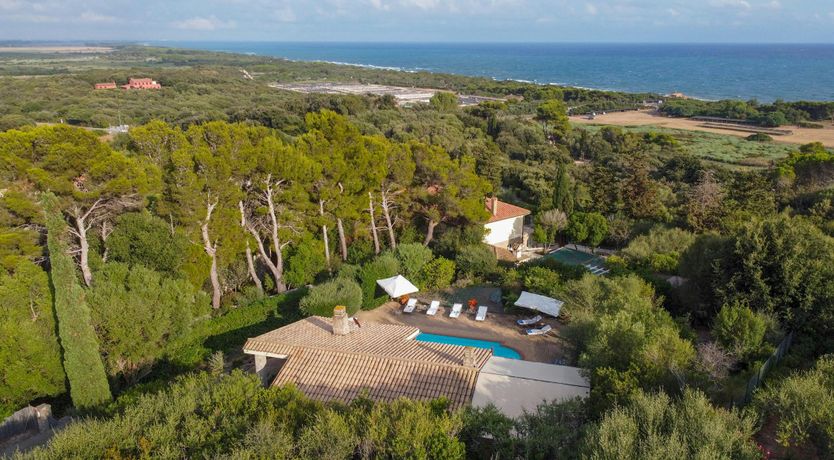 Photo of Pink Terracotta