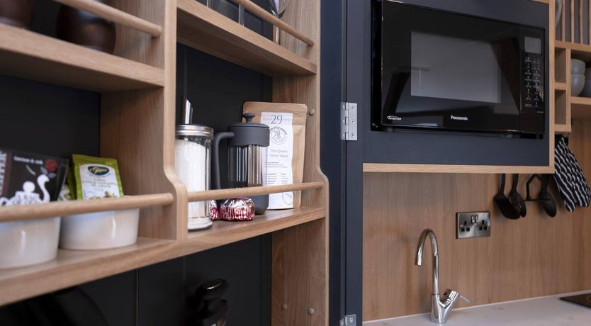 Photo of Pink Thistle