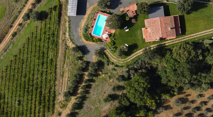 Photo of Cypresses & Herbs