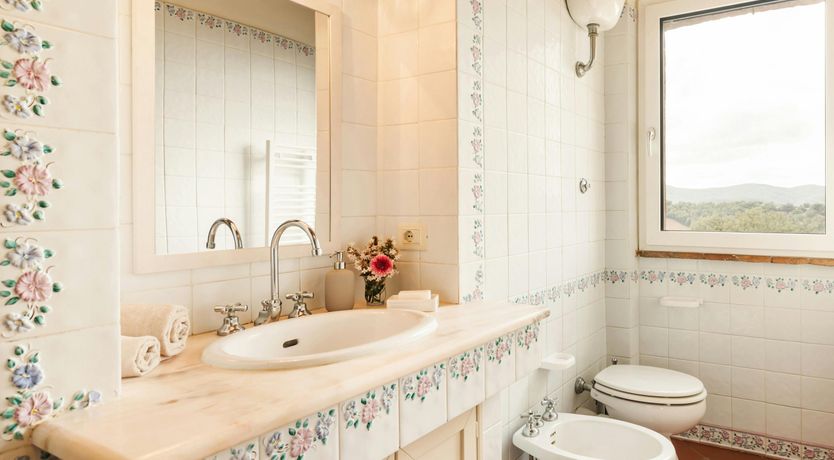 Photo of Cypresses & Herbs