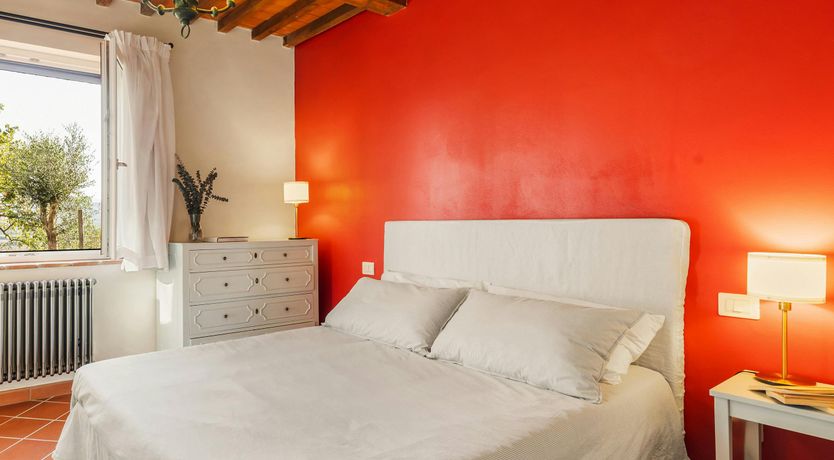 Photo of Cypresses & Herbs