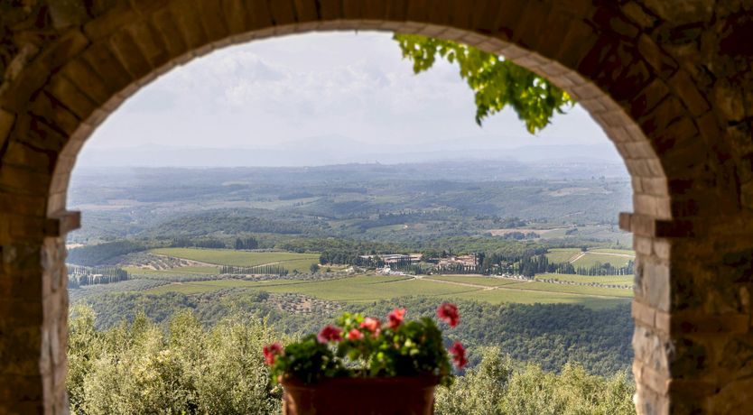 Photo of Tuscan Flower