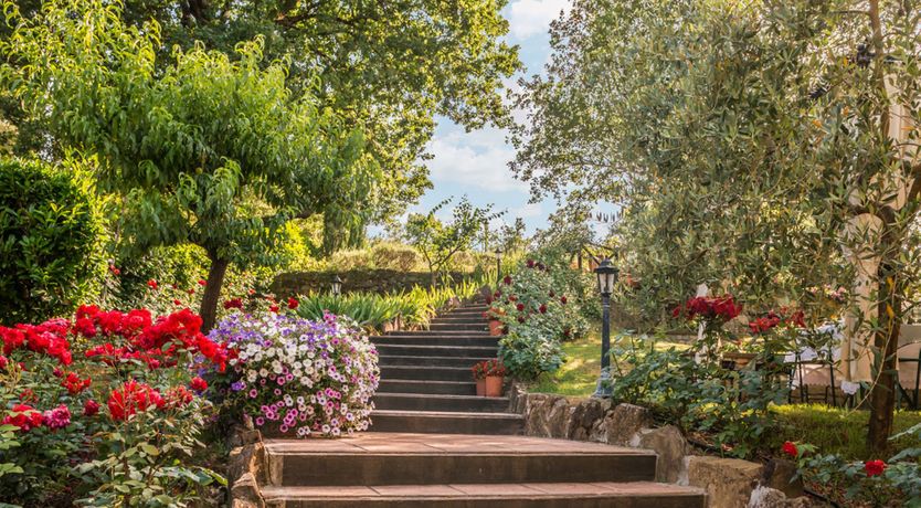 Photo of Towering Tuscany