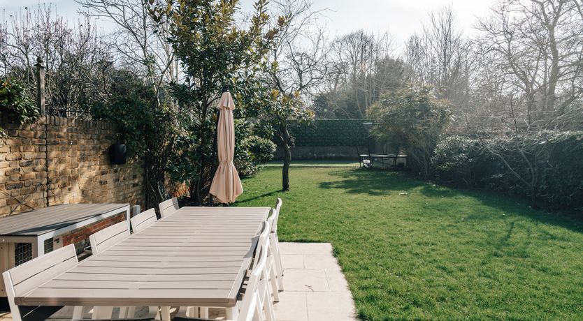 Photo of Blade of Grass