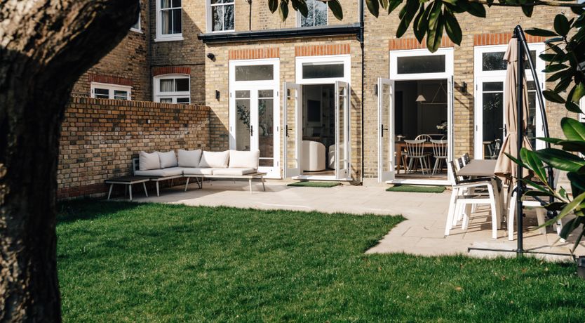 Photo of Blade of Grass