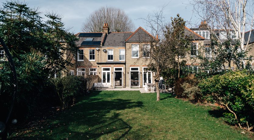 Photo of Blade of Grass