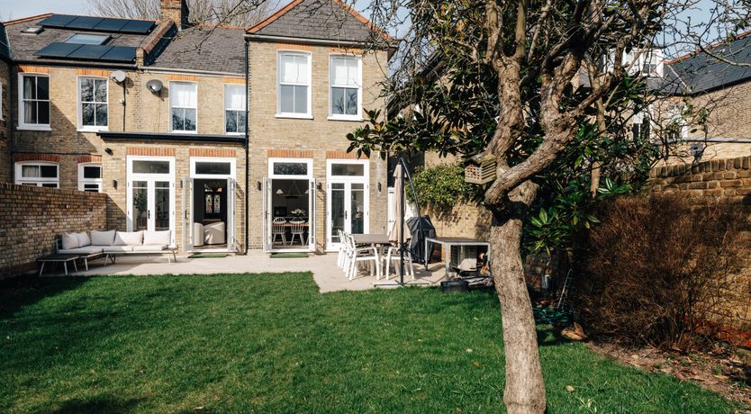 Photo of Blade of Grass