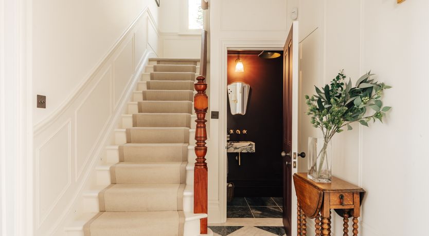 Photo of Blade of Grass