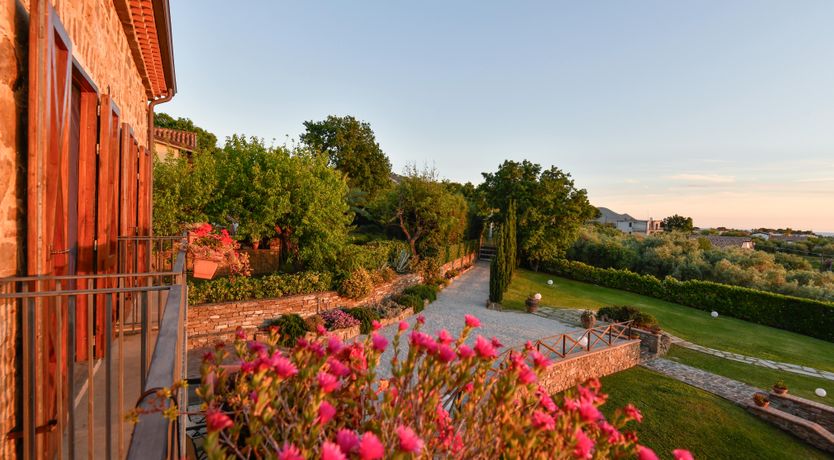 Photo of Italian Grace