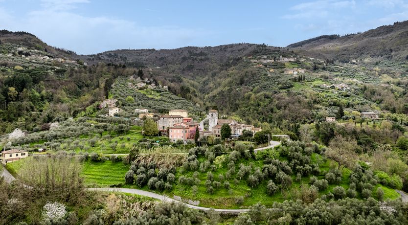 Photo of Sun & Cypress