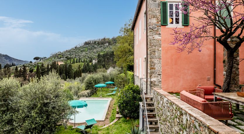 Photo of Sun & Cypress