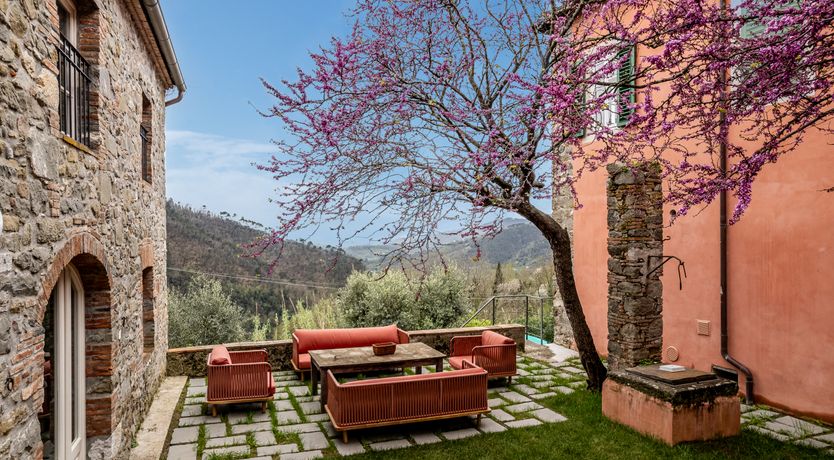 Photo of Sun & Cypress