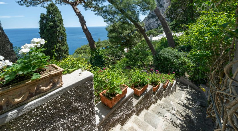 Photo of Virgilio's Vision