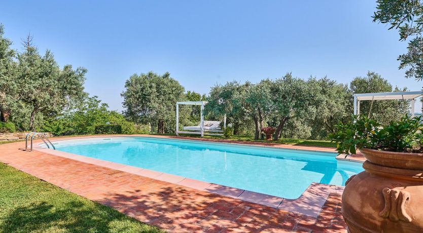 Photo of Olive & Grace