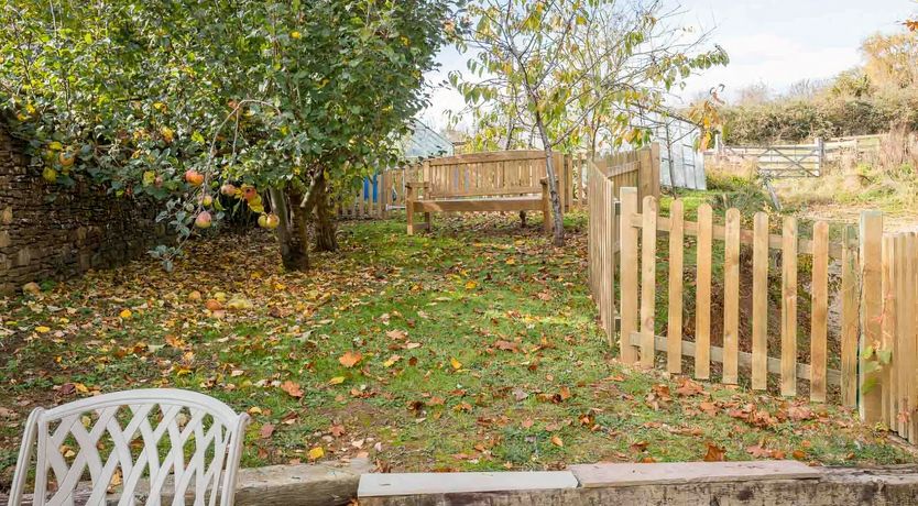 Photo of The Spring Dove