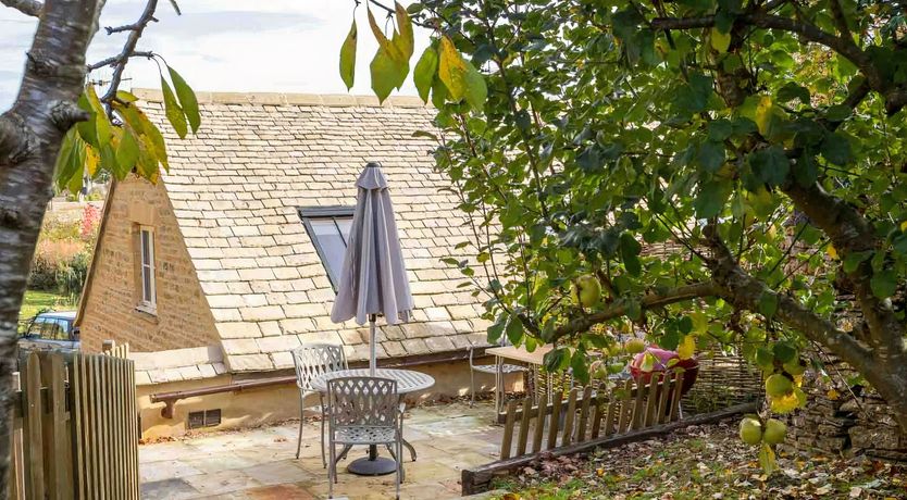 Photo of The Spring Dove