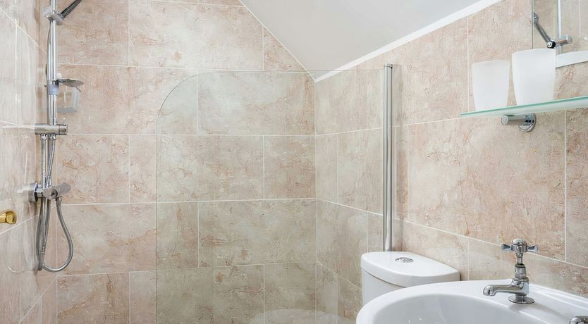 Photo of The Spring Dove