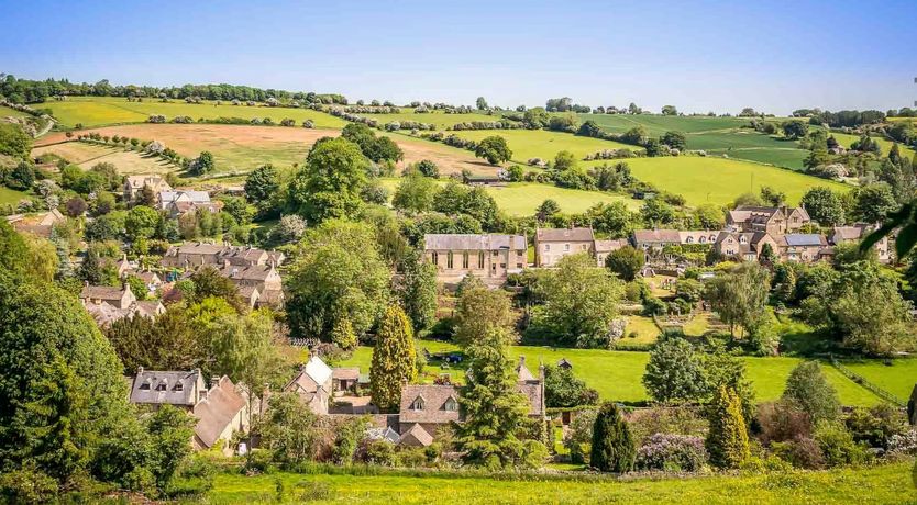 Photo of The Spring Dove