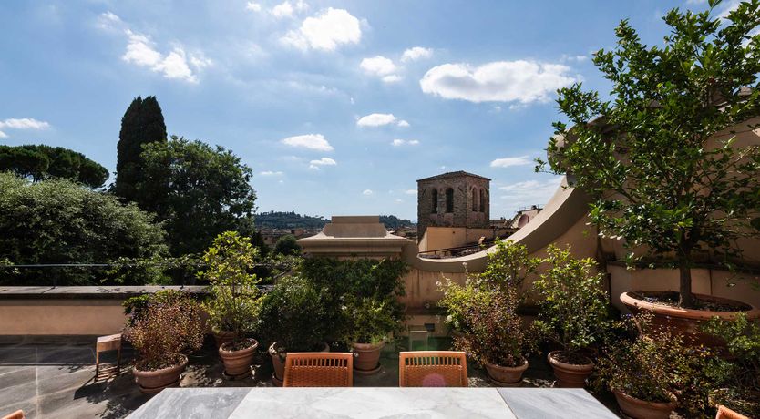 Photo of Renaissance in Bloom