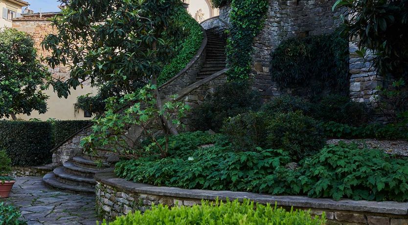 Photo of Renaissance in Bloom