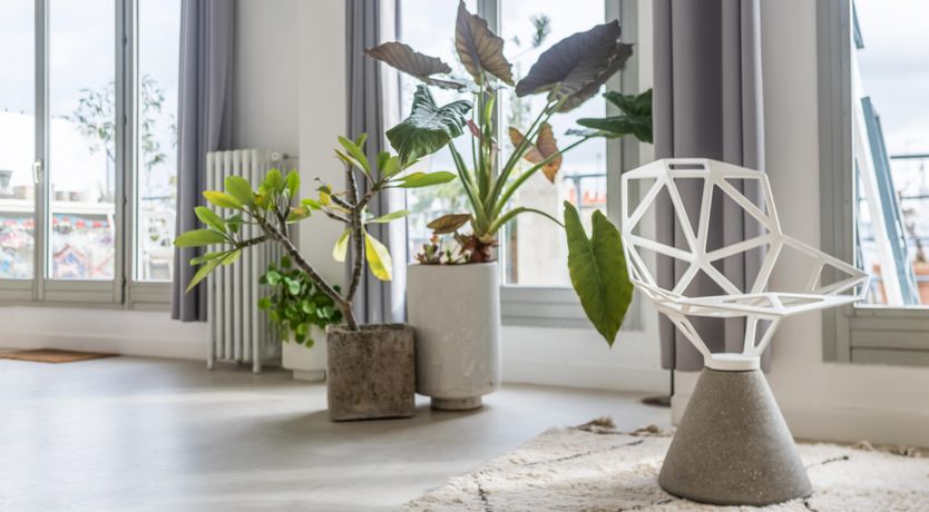 Photo of The Starship