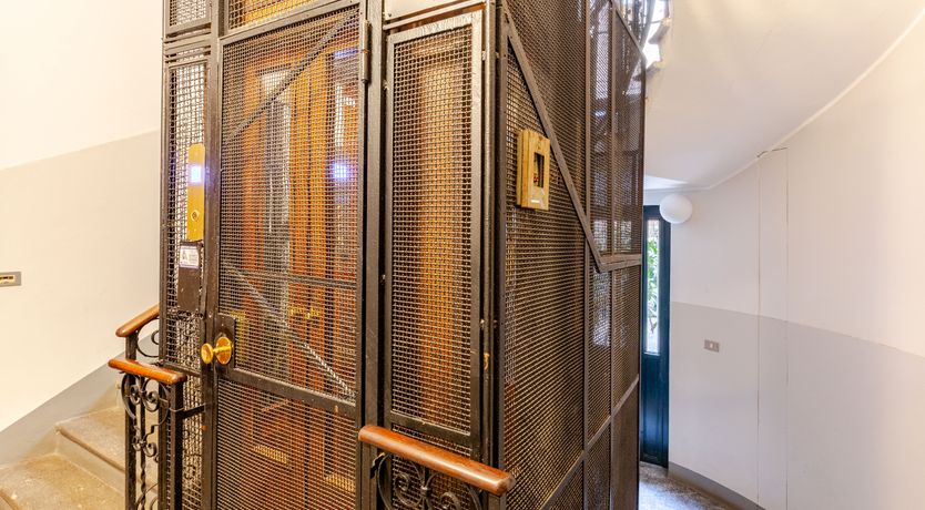 Photo of Velvet Love