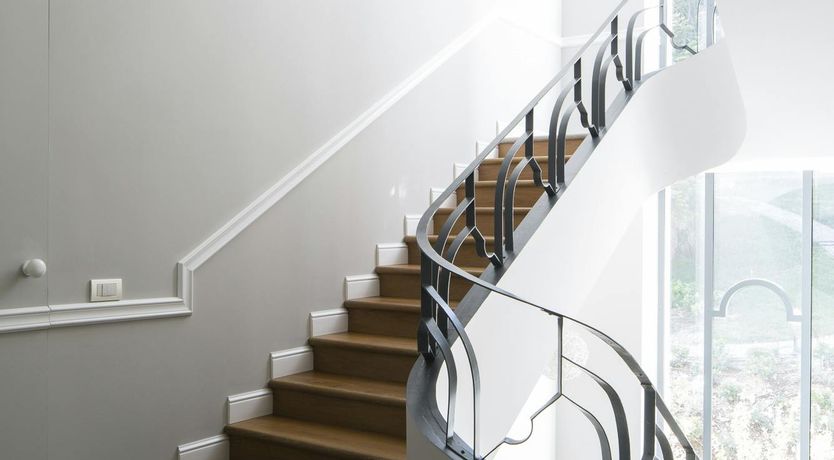 Photo of Acacias on the Lake