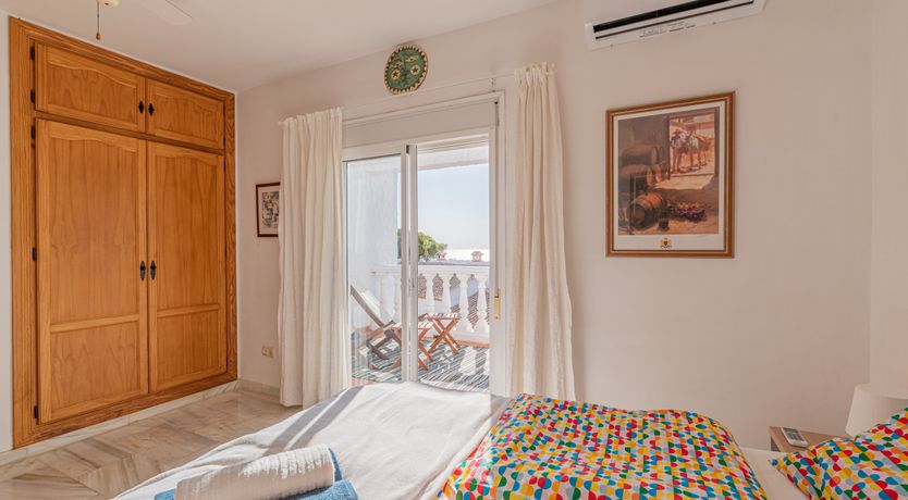 Photo of The Sunkissed Seabird