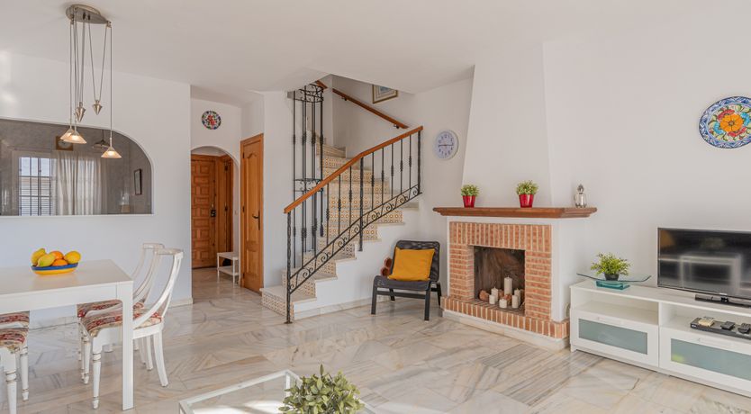 Photo of The Sunkissed Seabird