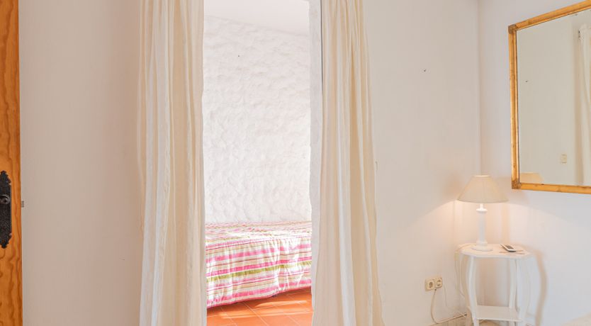 Photo of The Sunkissed Seabird