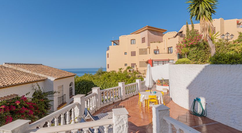 Photo of The Sunkissed Seabird