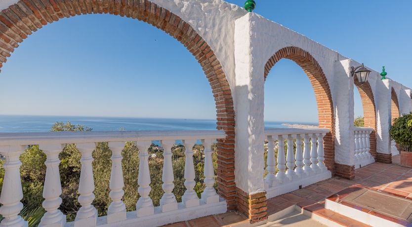 Photo of The Sunkissed Seabird