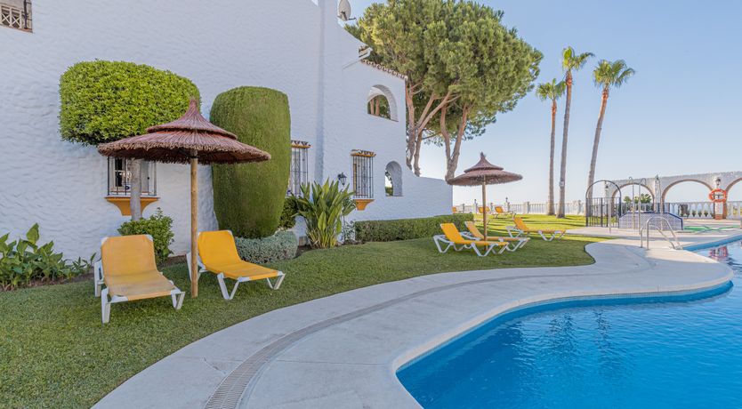 Photo of The Sunkissed Seabird