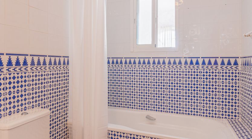 Photo of The Sunkissed Seabird