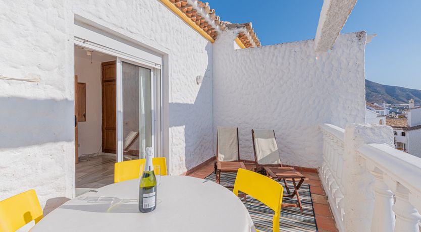 Photo of The Sunkissed Seabird