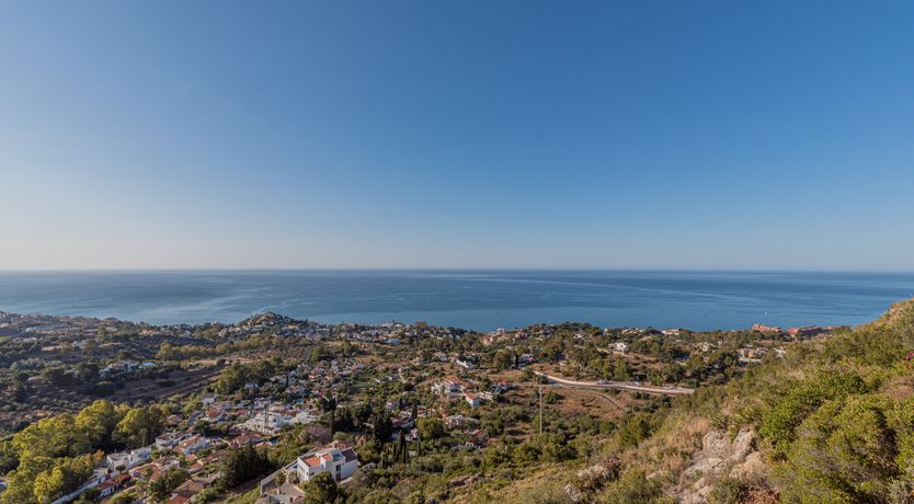 Photo of The Sunkissed Seabird
