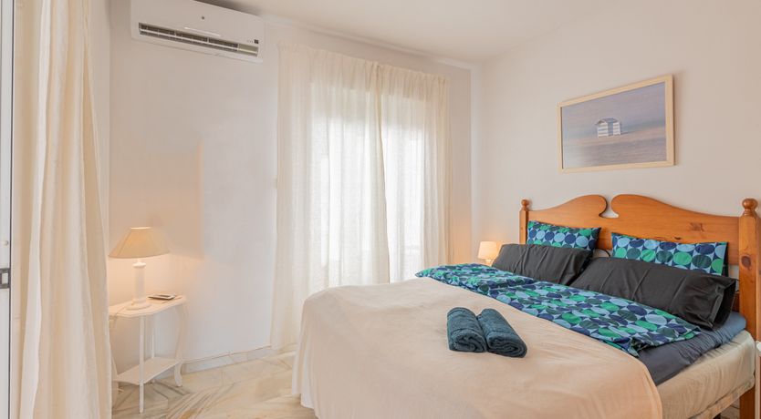 Photo of The Sunkissed Seabird