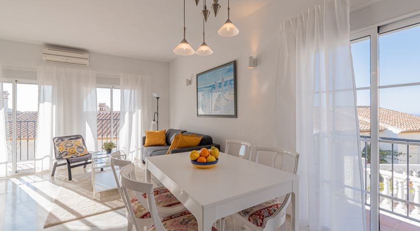 Photo of The Sunkissed Seabird