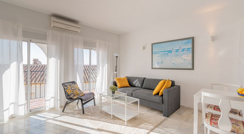 Photo of The Sunkissed Seabird