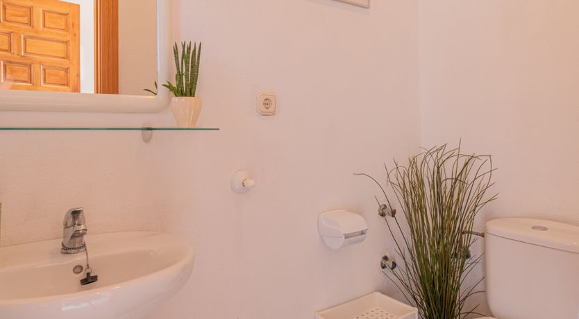 Photo of The Sunkissed Seabird