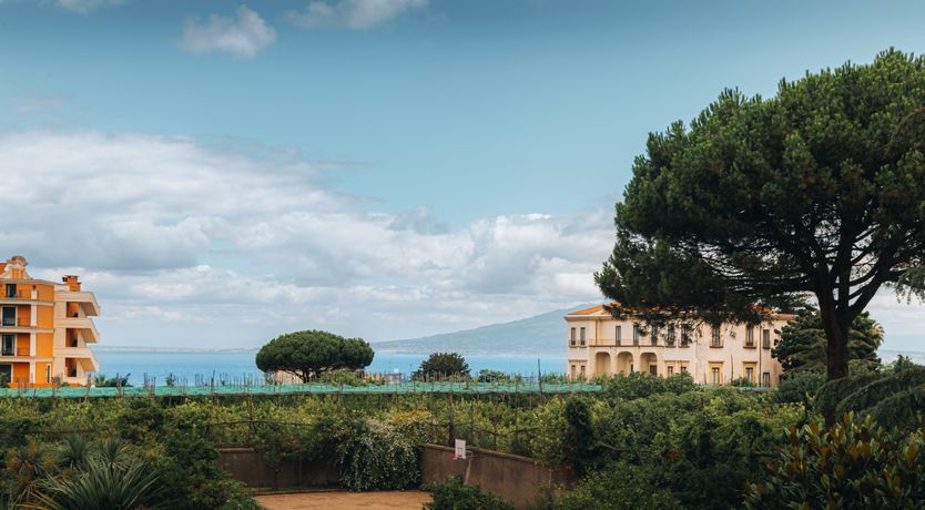 Photo of A Lemon Kiss