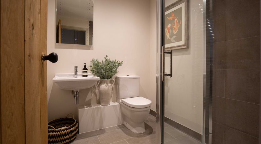 Photo of The Wisteria Bloom