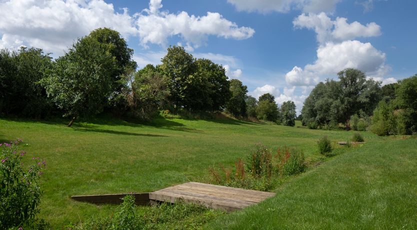 Photo of The Wisteria Bloom