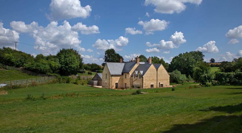 Photo of The Wisteria Bloom